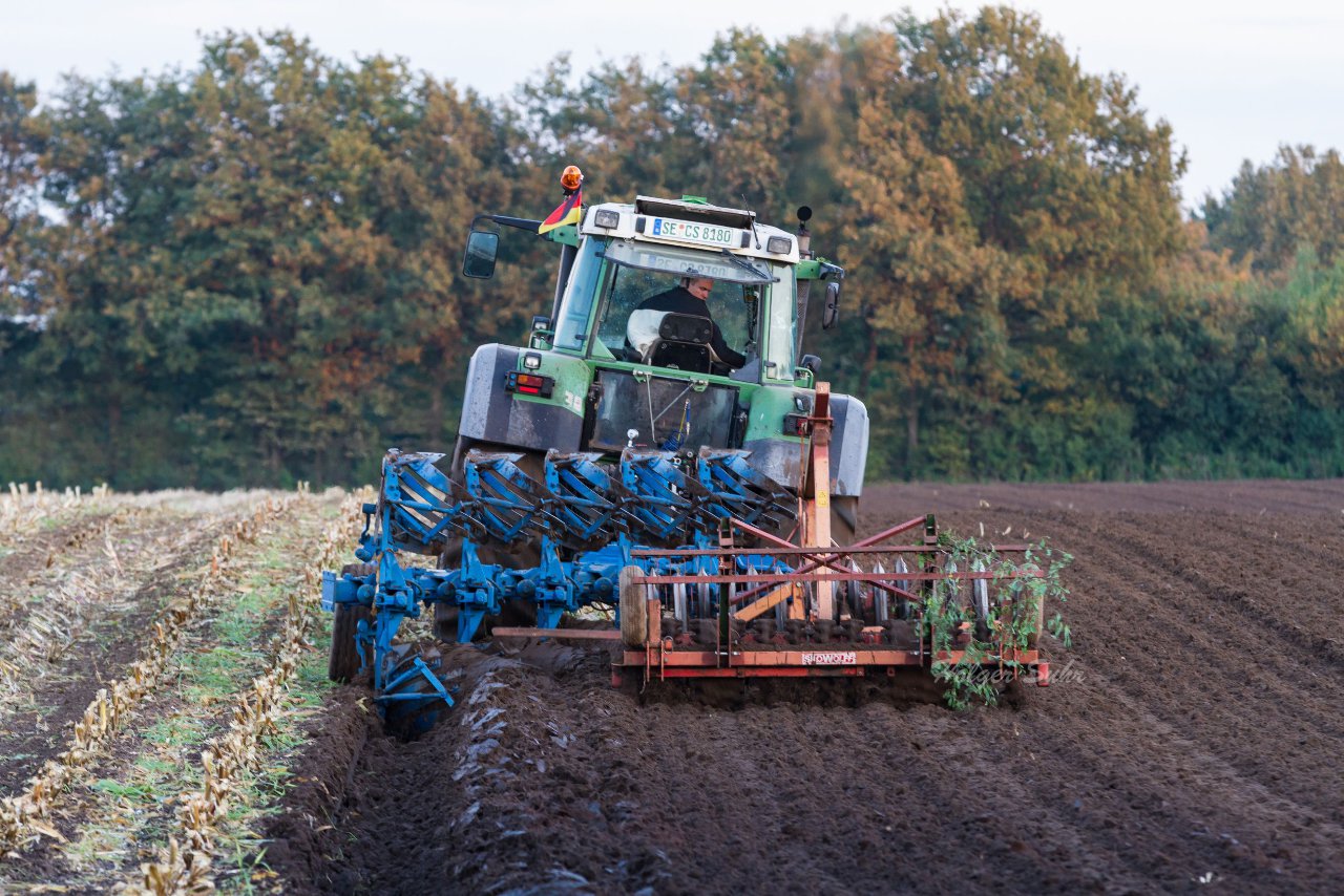 Bild 29 - Maisernte am 11.10.12